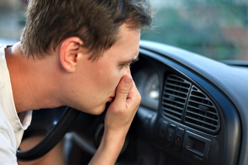 make car smell better